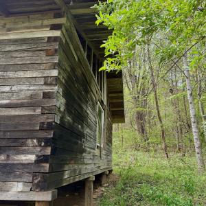 Photo #66 of 1297 Dry Creek Road, Blackwater, VA 50.5 acres