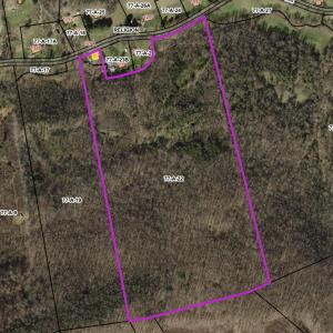 Photo #73 of 1297 Dry Creek Road, Blackwater, VA 50.5 acres
