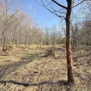 Photo #10 of Off Tar River Rd, Oxford, NC 14.7 acres