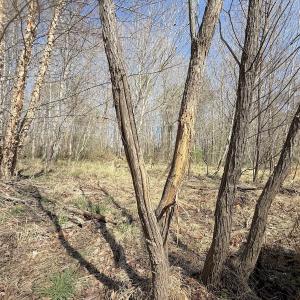 Photo #11 of Off Tar River Rd, Oxford, NC 14.7 acres