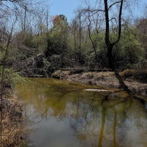 Photo #12 of Off Tar River Rd, Oxford, NC 14.7 acres