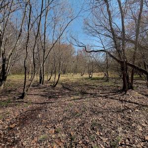 Photo #14 of Off Tar River Rd, Oxford, NC 14.7 acres