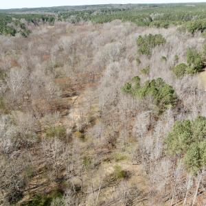 Photo #15 of Off Tar River Rd, Oxford, NC 14.7 acres