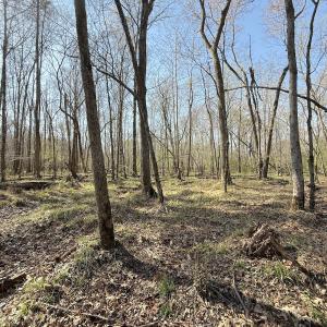 Photo #16 of Off Tar River Rd, Oxford, NC 14.7 acres