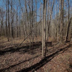 Photo #17 of Off Tar River Rd, Oxford, NC 14.7 acres