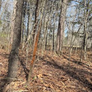 Photo #18 of Off Tar River Rd, Oxford, NC 14.7 acres