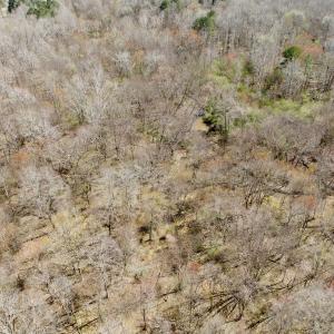 Photo #21 of Off Tar River Rd, Oxford, NC 14.7 acres