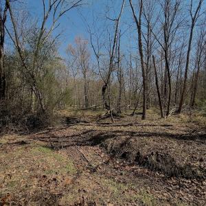 Photo #22 of Off Tar River Rd, Oxford, NC 14.7 acres