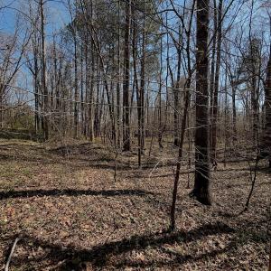 Photo #23 of Off Tar River Rd, Oxford, NC 14.7 acres