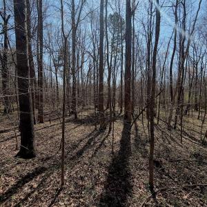 Photo #26 of Off Tar River Rd, Oxford, NC 14.7 acres