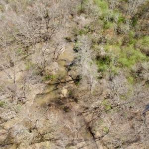 Photo #3 of Off Tar River Rd, Oxford, NC 14.7 acres