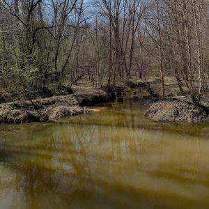 Photo #5 of Off Tar River Rd, Oxford, NC 14.7 acres