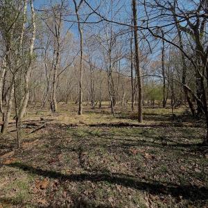 Photo #7 of Off Tar River Rd, Oxford, NC 14.7 acres