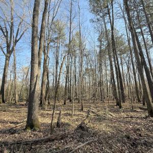 Photo #8 of Off Tar River Rd, Oxford, NC 14.7 acres