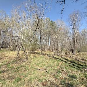 Photo #9 of Off Tar River Rd, Oxford, NC 14.7 acres