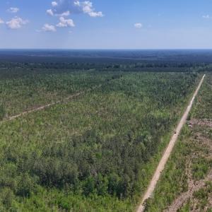 Photo #10 of Lot 6 Guinea Mill Rd, Ernul, NC 25.0 acres