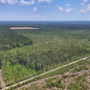 Photo #11 of Lot 6 Guinea Mill Rd, Ernul, NC 25.0 acres