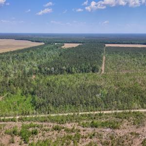 Photo #12 of Lot 6 Guinea Mill Rd, Ernul, NC 25.0 acres