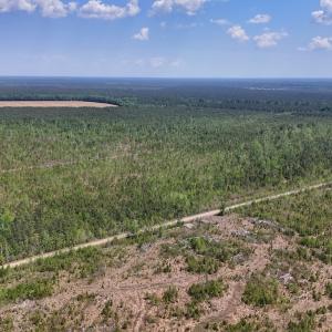 Photo #13 of Lot 6 Guinea Mill Rd, Ernul, NC 25.0 acres