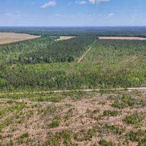 Photo #14 of Lot 6 Guinea Mill Rd, Ernul, NC 25.0 acres