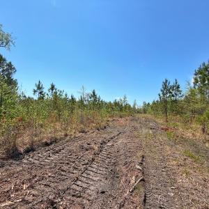 Photo #16 of Lot 6 Guinea Mill Rd, Ernul, NC 25.0 acres