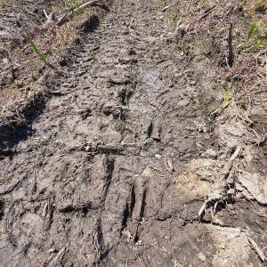 Photo #17 of Lot 6 Guinea Mill Rd, Ernul, NC 25.0 acres