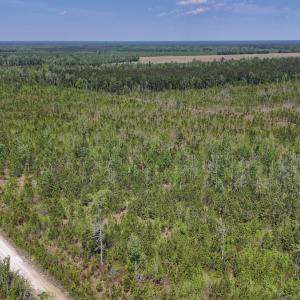 Photo #1 of Lot 6 Guinea Mill Rd, Ernul, NC 25.0 acres