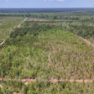 Photo #2 of Lot 6 Guinea Mill Rd, Ernul, NC 25.0 acres