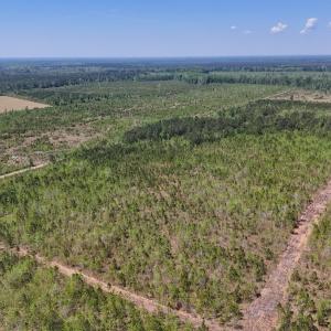 Photo #3 of Lot 6 Guinea Mill Rd, Ernul, NC 25.0 acres