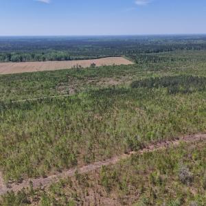 Photo #4 of Lot 6 Guinea Mill Rd, Ernul, NC 25.0 acres