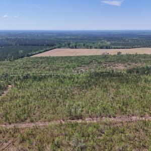 Photo #5 of Lot 6 Guinea Mill Rd, Ernul, NC 25.0 acres