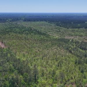 Photo #6 of Lot 6 Guinea Mill Rd, Ernul, NC 25.0 acres