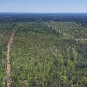 Photo #7 of Lot 6 Guinea Mill Rd, Ernul, NC 25.0 acres