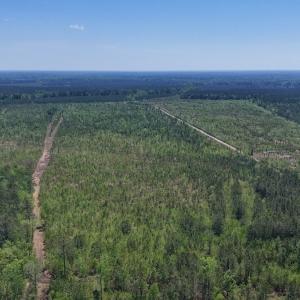 Photo #8 of Lot 6 Guinea Mill Rd, Ernul, NC 25.0 acres