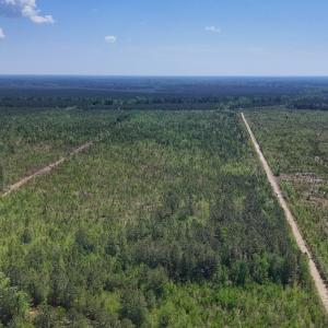 Photo #9 of Lot 6 Guinea Mill Rd, Ernul, NC 25.0 acres
