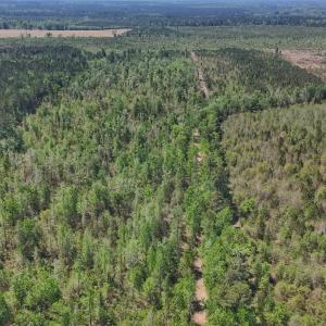 Photo #10 of Lot 7 Guinea Mill Rd, Ernul, NC 39.0 acres