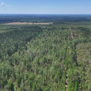 Photo #11 of Lot 7 Guinea Mill Rd, Ernul, NC 39.0 acres