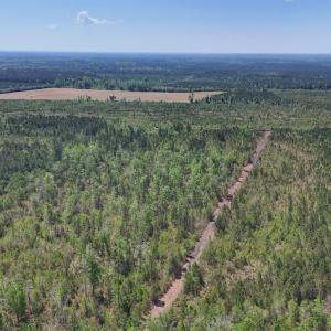 Photo #12 of Lot 7 Guinea Mill Rd, Ernul, NC 39.0 acres