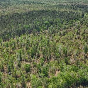 Photo #13 of Lot 7 Guinea Mill Rd, Ernul, NC 39.0 acres