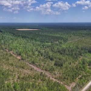 Photo #15 of Lot 7 Guinea Mill Rd, Ernul, NC 39.0 acres