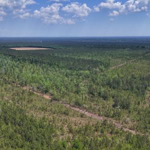 Photo #16 of Lot 7 Guinea Mill Rd, Ernul, NC 39.0 acres