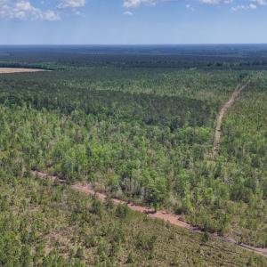 Photo #17 of Lot 7 Guinea Mill Rd, Ernul, NC 39.0 acres