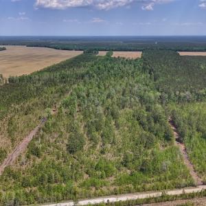 Photo #19 of Lot 7 Guinea Mill Rd, Ernul, NC 39.0 acres