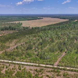 Photo #1 of Lot 7 Guinea Mill Rd, Ernul, NC 39.0 acres