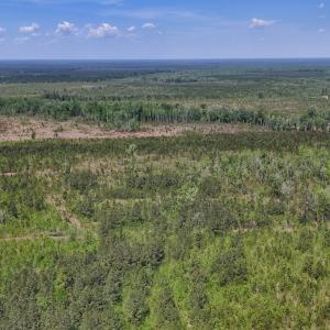 Photo #2 of Lot 7 Guinea Mill Rd, Ernul, NC 39.0 acres