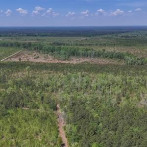 Photo #3 of Lot 7 Guinea Mill Rd, Ernul, NC 39.0 acres