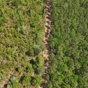 Photo #4 of Lot 7 Guinea Mill Rd, Ernul, NC 39.0 acres