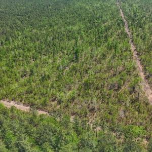 Photo #5 of Lot 7 Guinea Mill Rd, Ernul, NC 39.0 acres