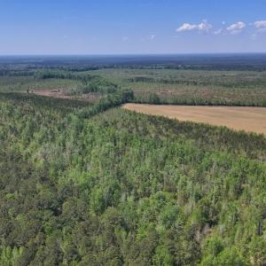 Photo #7 of Lot 7 Guinea Mill Rd, Ernul, NC 39.0 acres
