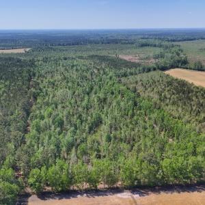 Photo #8 of Lot 7 Guinea Mill Rd, Ernul, NC 39.0 acres